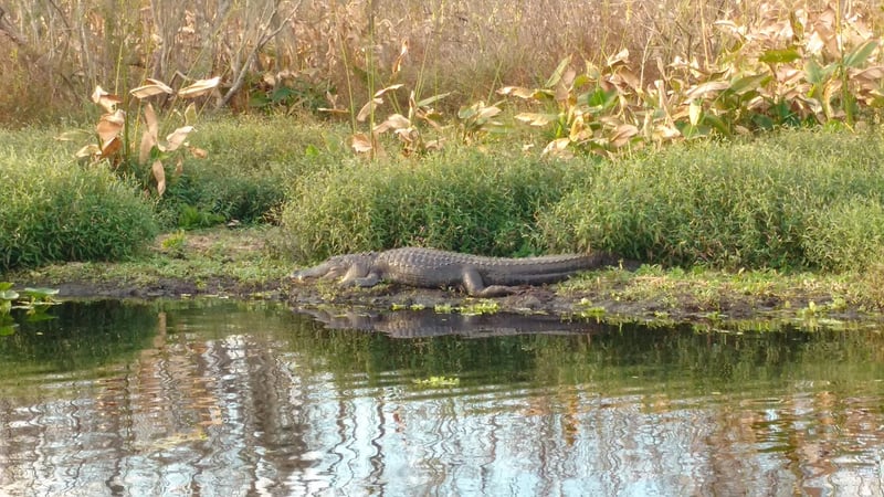 Everglades National Park, USA